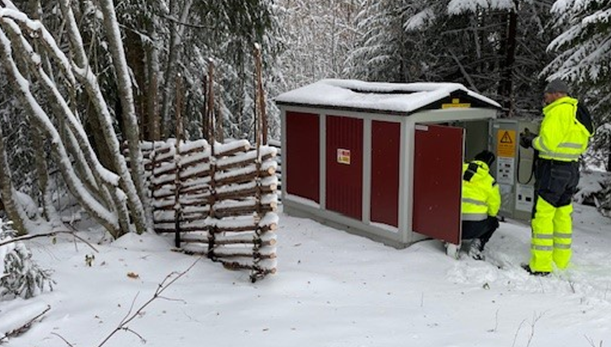 Utöver åtgärderna för att sänka utsläppen gjordes också inom projektet vissa insatser för biologisk mångfald. Detta är något Ellevio ofta gör i större projekt där vi gör naturvärdesinventeringar och har samråd med lokala myndigheter och organisationer. I Orsa testades om vi också kunde främja den biologiska mångfalden vid genomförande av mindre projekt. Vi satte upp gärdesgårdar kring våra nätstationer. Gärdesgårdar är en viktig del av ortens kulturlandskap och är också en viktig växtplats för sällsynta lavar. En lokal naturorganisation hjälpte också till att placera ut insektshotell vid stationerna. 